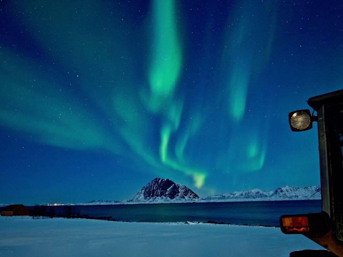 Steinbakk - Vestresand Lofoten Bostad Екстериор снимка
